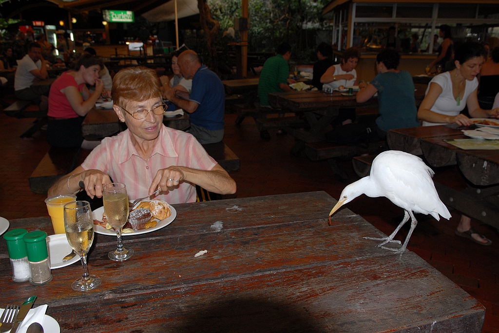 0762 Wildlife Habitat Port Douglas.jpg